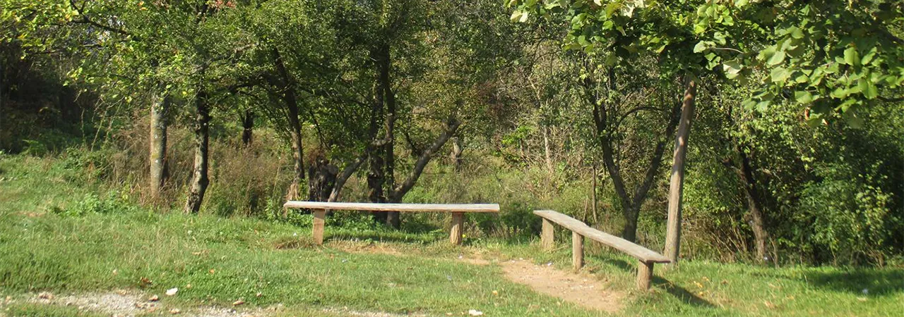 Лазаричка песма (Село ни се раселило) Лазаричка песма (Село ни се раселило)