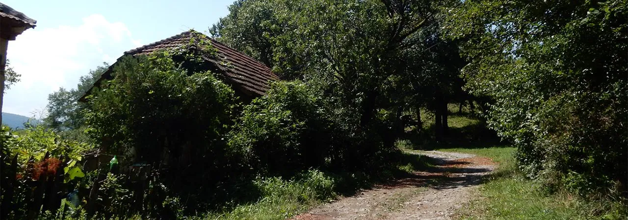 Народни живот (печење ракије) Народни живот (печење ракије)