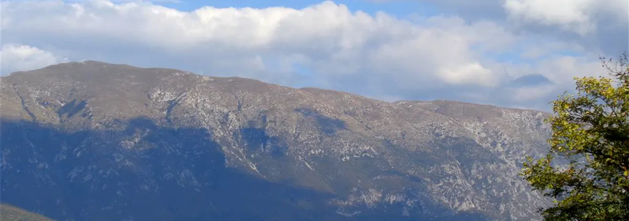 Лазаричка песма "на девојку" Лазаричка песма "на девојку"